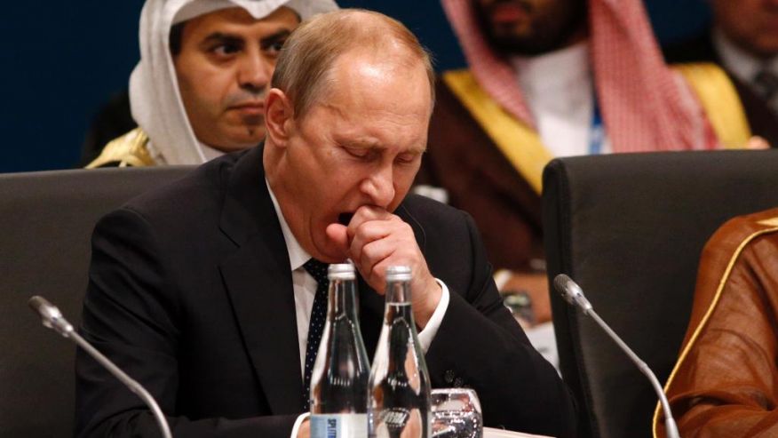 Про саммит G-20 и белых медведей Про саммит G-20 и белых медведей