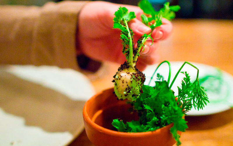 10 шедевров молекулярной кухни 10 шедевров молекулярной кухни