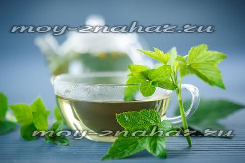 Чай из листьев смородины