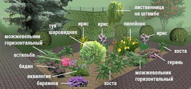 Клумбы непрерывного цветения – схемы с описанием цветов… Клумбы непрерывного цветения – схемы с описанием цветов…