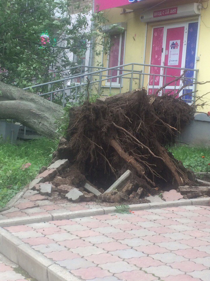 https://360tv.ru/media/uploads/article_images/2019/08/43652_permactive.jpg