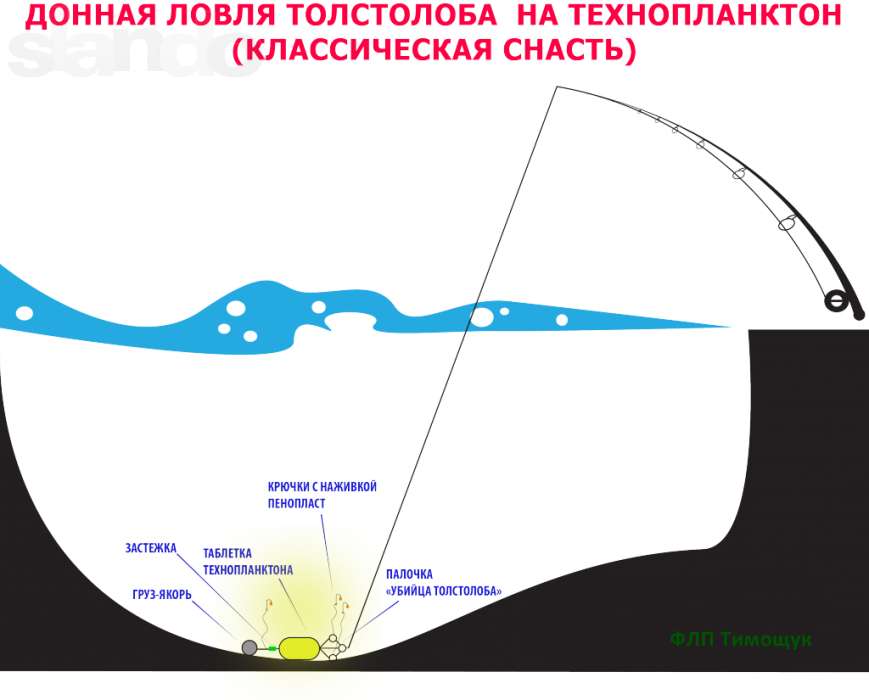 состав технопланктона для ловли карпа состав технопланктона для ловли карпа