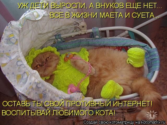 Котоматрицы для подзарядки позитивом))) Котоматрицы для подзарядки позитивом)))