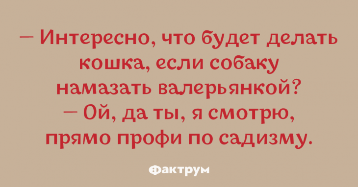 Просто сногсшибательные анекдоты, заряжающие отличным настроением на весь день Просто сногсшибательные анекдоты, заряжающие отличным настроением на весь день