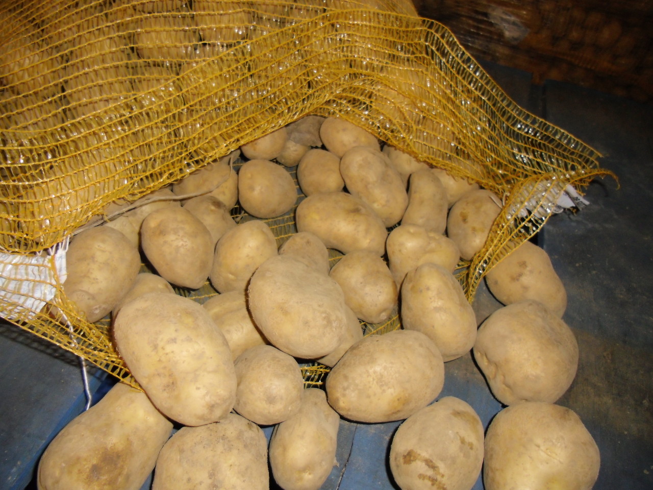 Сорт моркови картофель Сорт моркови картофель