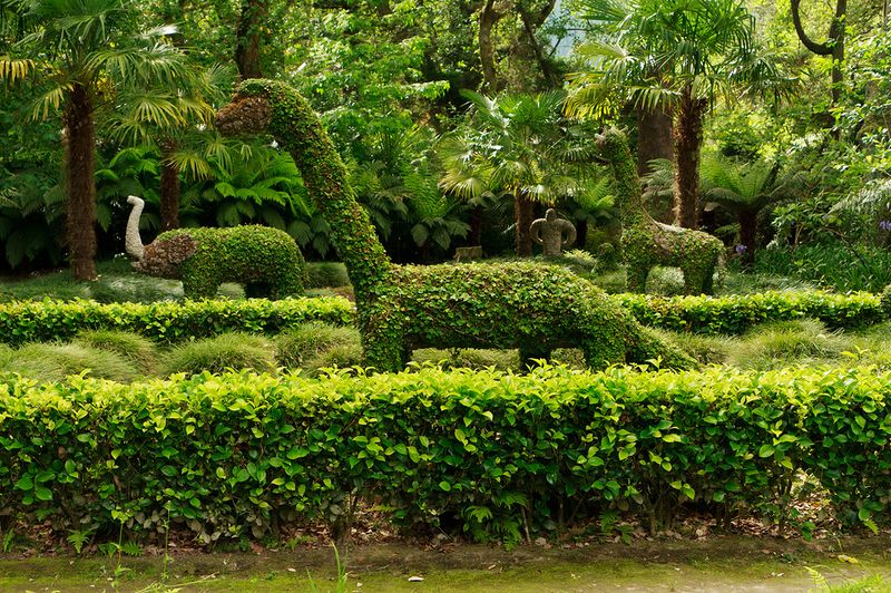 Азорские острова - места нетронутой природы