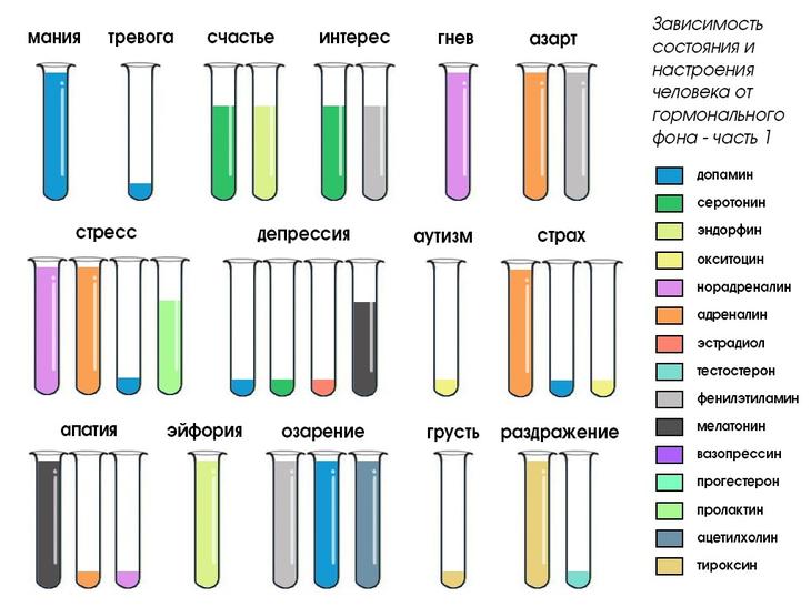 Химические формулы эмоций