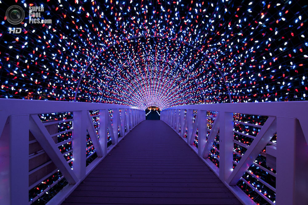 Рождественская сказка