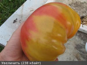 Какие томаты буду сажать? Какие томаты буду сажать?