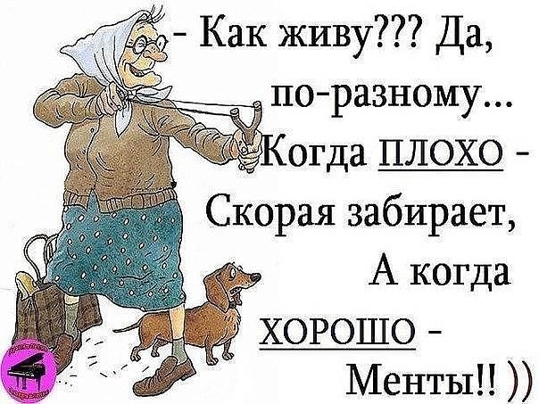 Бабулька ...отожгла !!!