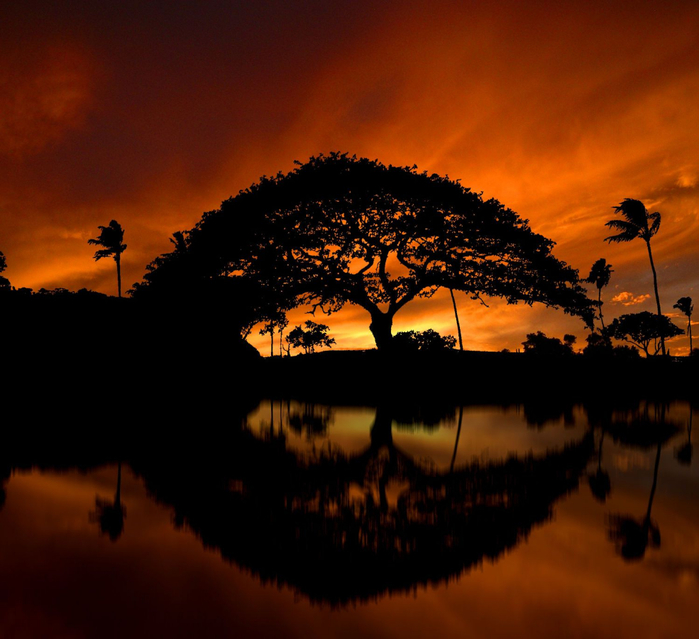 Peter Holme III Tutt'Art@ (44) (700x639, 377Kb)