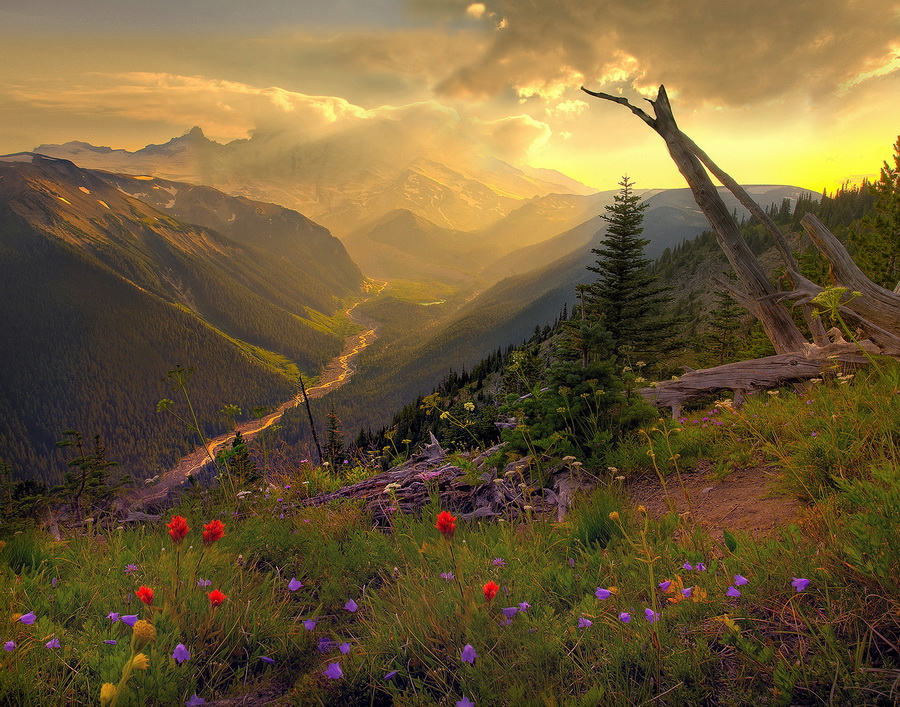NewPix.ru -   - (Mount Rainier National Park) .  Kevin McNeal