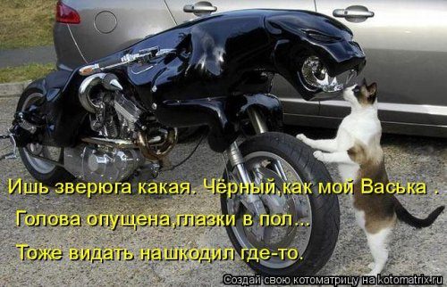 Самые уморительные котоматрицы) Самые уморительные котоматрицы)