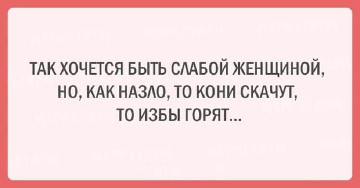 20 оригинальных шуток из жизни женщины