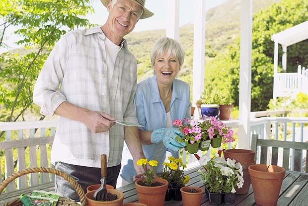 14 �������� ���������� �� ����� ������ ����� �������