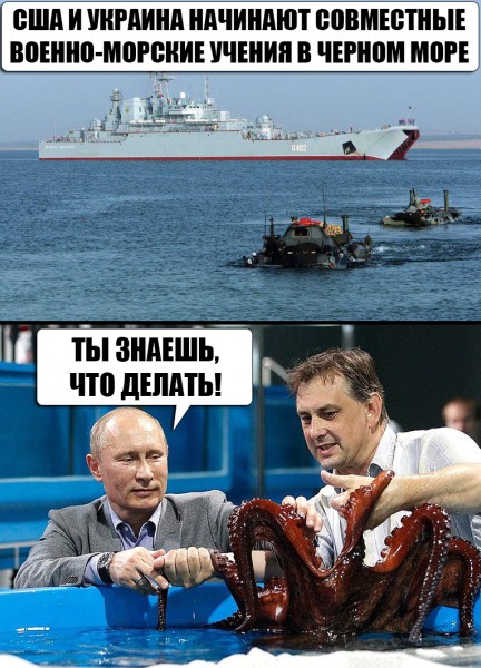 СтёбNews СтёбNews