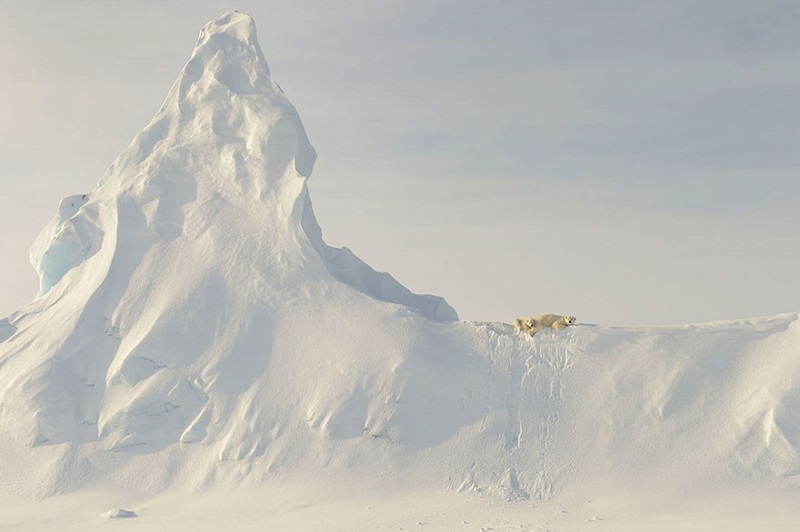 Лучшие из лучших: 10 потрясающих снимков, победивших в конкурсе от National Geographic. Лучшие из лучших: 10 потрясающих снимков, победивших в конкурсе от National Geographic.
