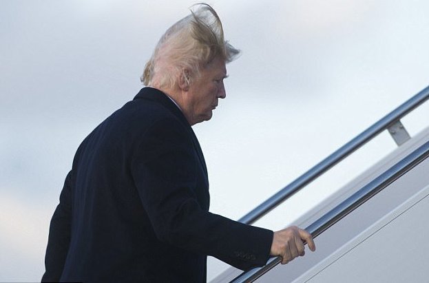 Носит ли Дональд Трамп парик? Носит ли Дональд Трамп парик? Дональд Трамп, волосы, ложь президента, лысина, неожиданно, парик, президент сша, прическа