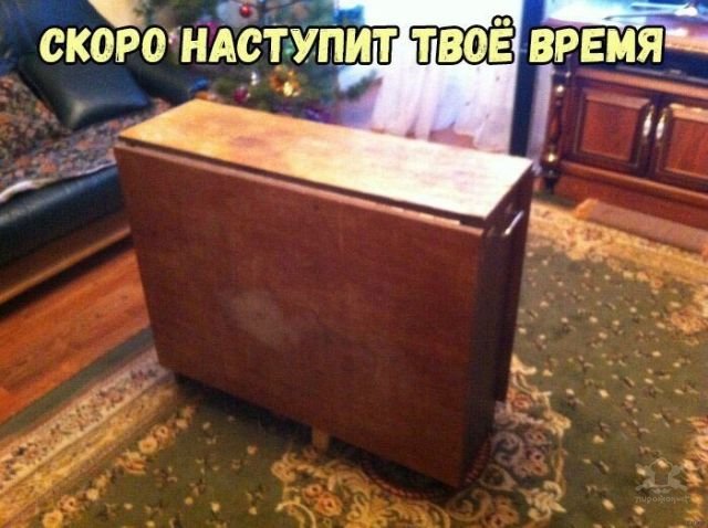 Смешные картинки с подписями Смешные картинки с подписями
