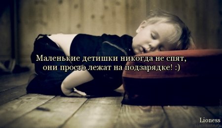 Цитаты, милые цитаты...