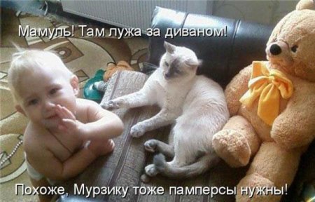 Смешные картинки о животных с подписями.