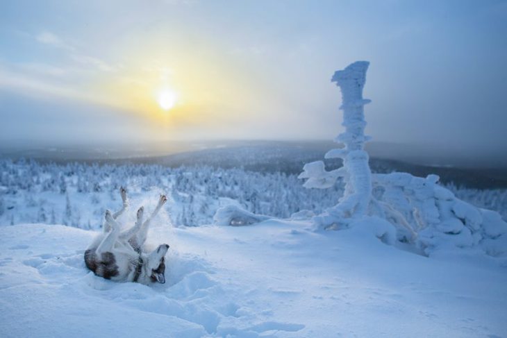 Лапландия: сказка наяву