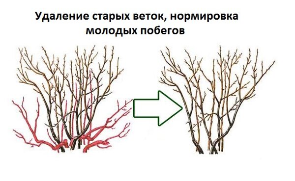 Выглядит это примерно так (вариант для незапущенных случаев)