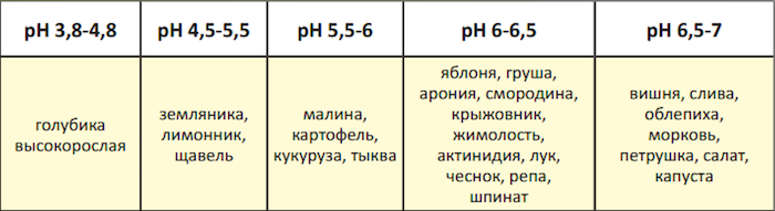 Кислая почва? Что лучше посадить и как исправить