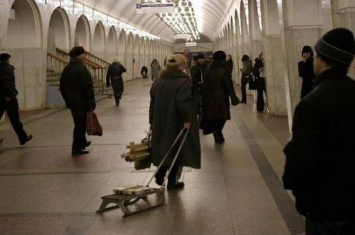 Милые картинки и смешные фотографии для веселья (11 фото) Милые картинки и смешные фотографии для веселья (11 фото)