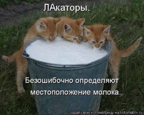 Веселая котоматрица свежак!