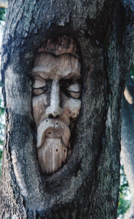 Проект Кита Дженнингса (Keith Jennings) «Tree Spirits» 