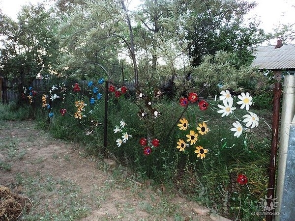 не простой заборчик,а цветущий