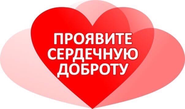 Подарите ангелочкам шанс на дом, на счастливую жизнь!!!