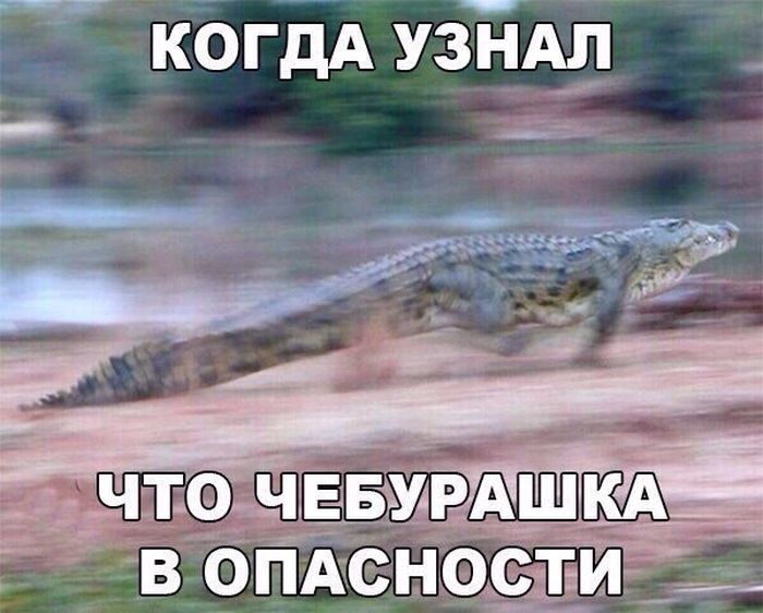 Посмеялся сам - поделись с другом!!!