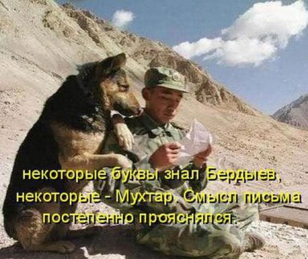 Смешные картинки о животных с подписями.