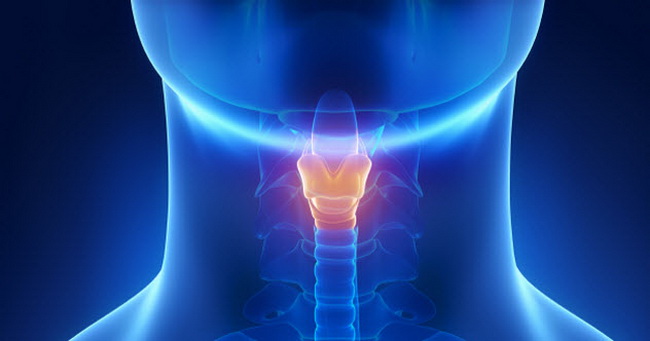 9-feature-vocal-cords 9-feature-vocal-cords