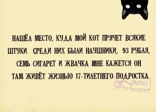 Позитивные фразочки в прикольных картинках. Всем отличного настроения!