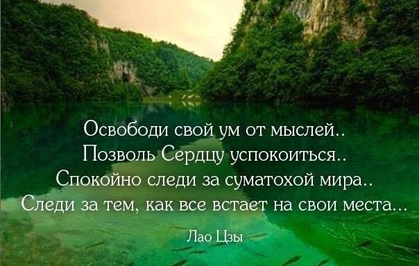 Цитата подтверждает свои мысли Цитата подтверждает свои мысли