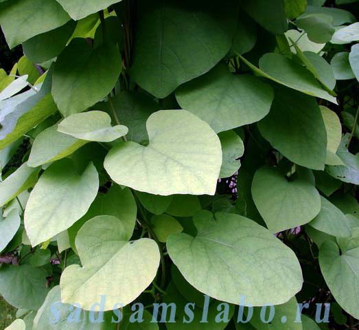 ����� ��� ���� � ����� �������� ������������� ������