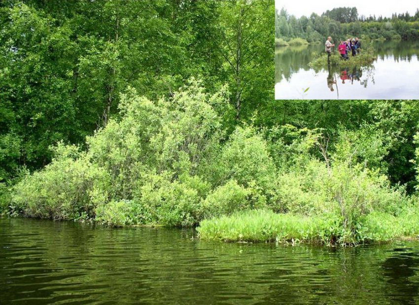 красота, россия