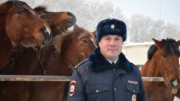 Омская конная полиция: они скучают и грустят, когда хозяева уезжают в отпуск