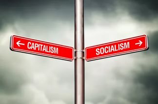 Лох,приспособленец и циник Лох,приспособленец и циник