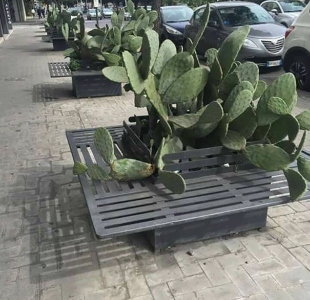 Когда архитекторы жаждут крови