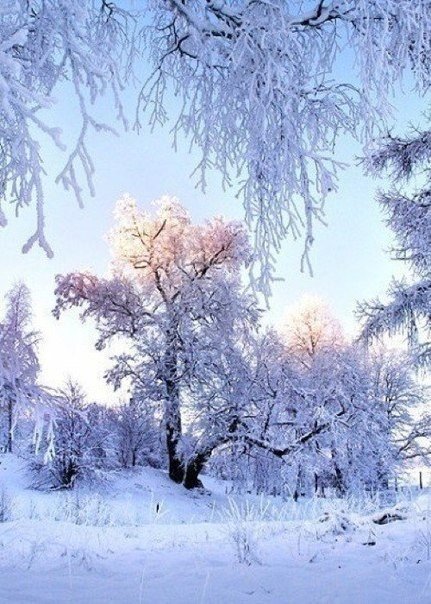 Зимняя сказка