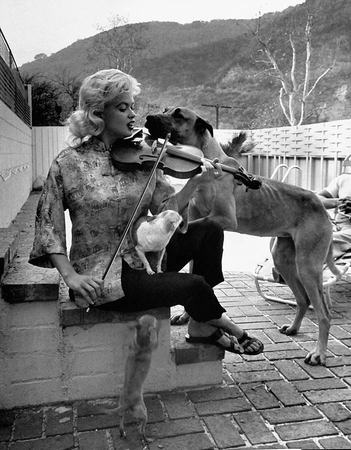 Актрисы Голливуда. Джейн Мэнсфилд(Jayne Mansfield).Костюмы 1950-х. 492 Иконы Голливуда: Джейн Мэнсфилд