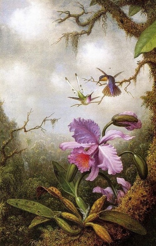 Цветы на картинах Martin Johnson Heade