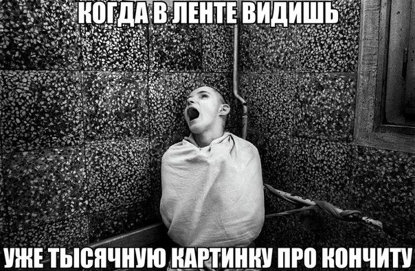 Приколы, Демки, комментарии про Кончиту, даже не Ржака , а просто Плевака какая-то...