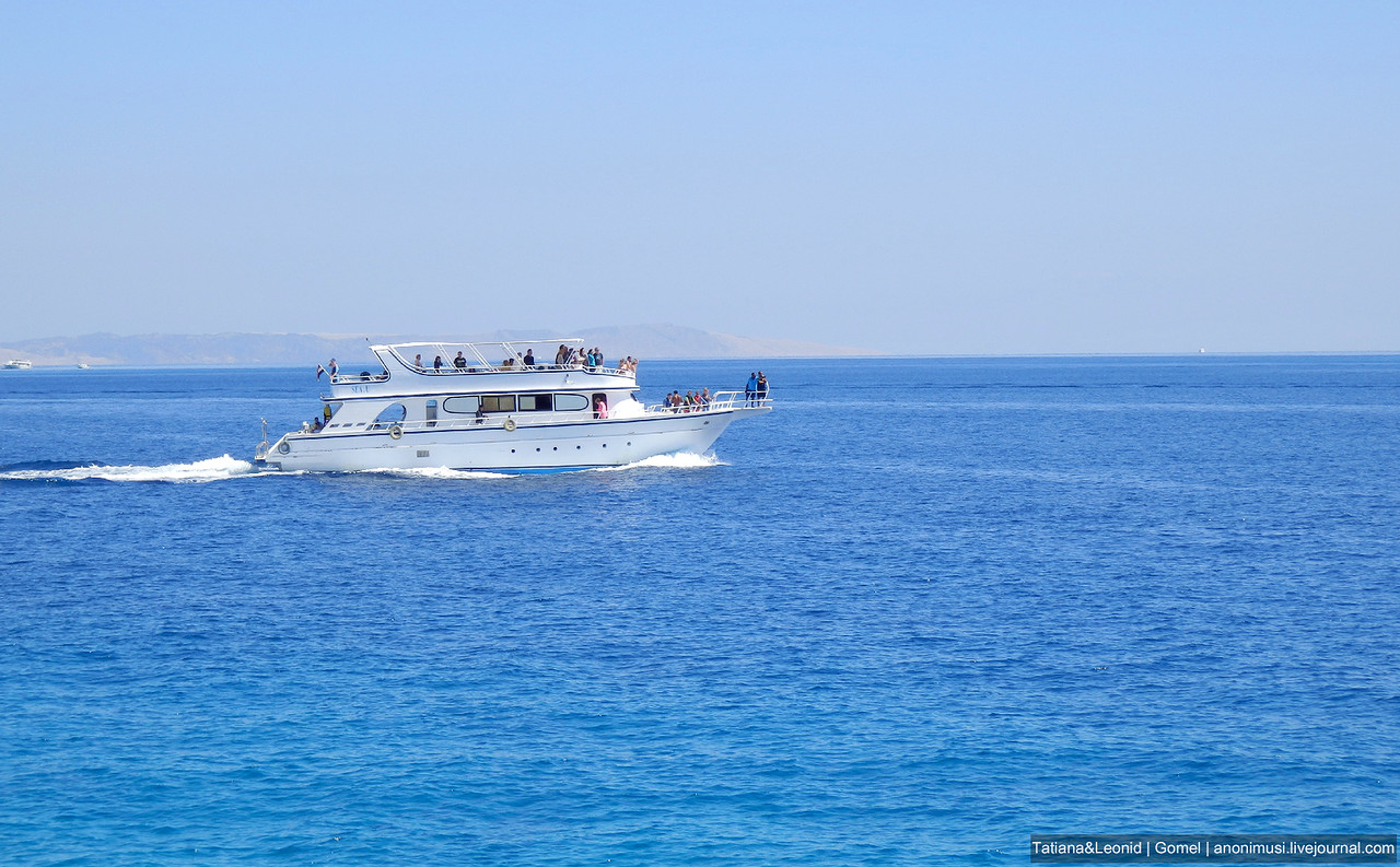 Красное море Красное море
