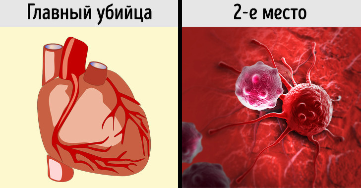 17 научно доказанных фактов о здоровье, которые многие почему-то продолжают игнорировать