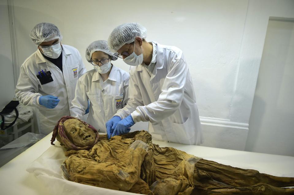 500-летняя мумия монаха может дать ответ, почему мы страдаем от ревматизма